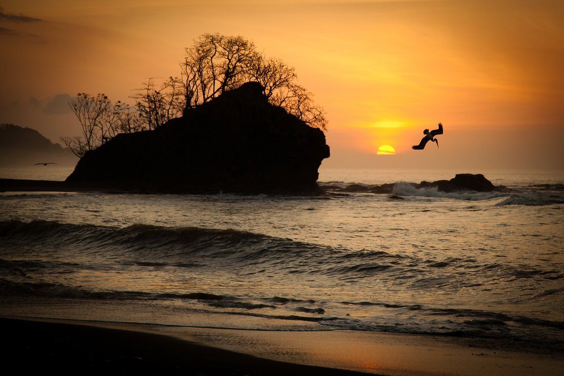 Wild Coast