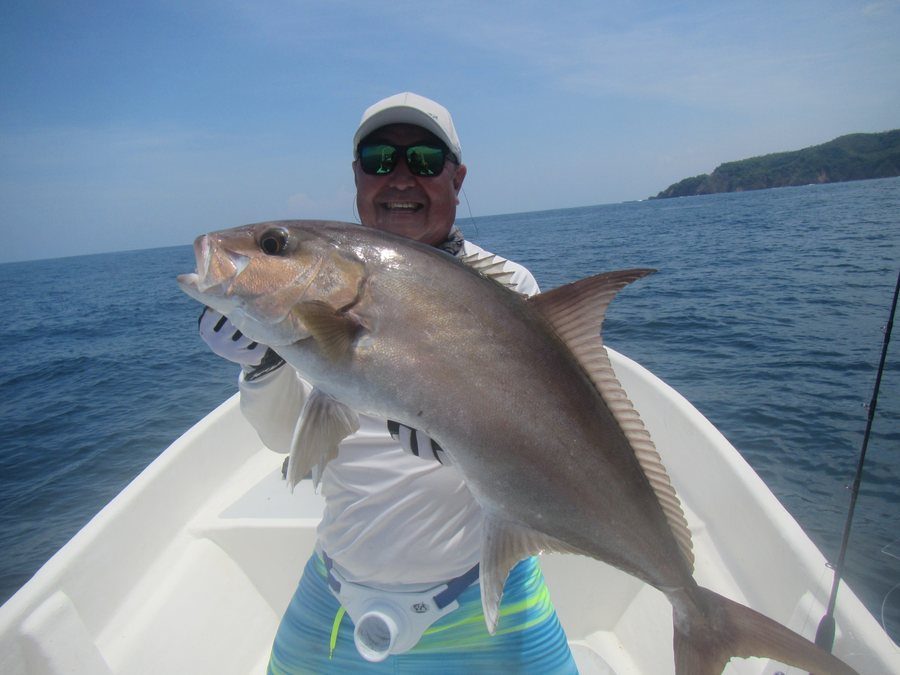 Amberjack