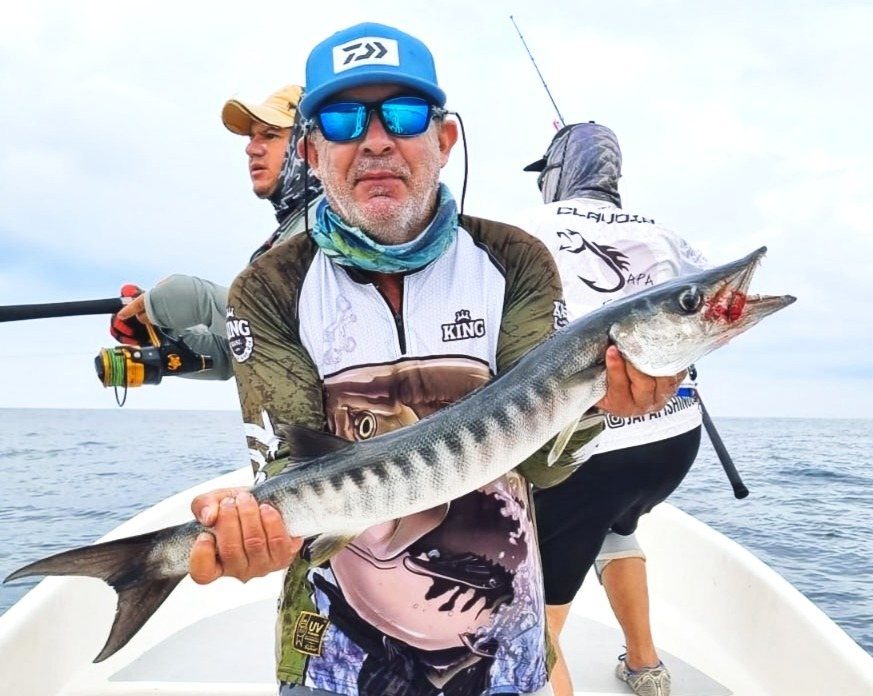 Pacific Barracuda