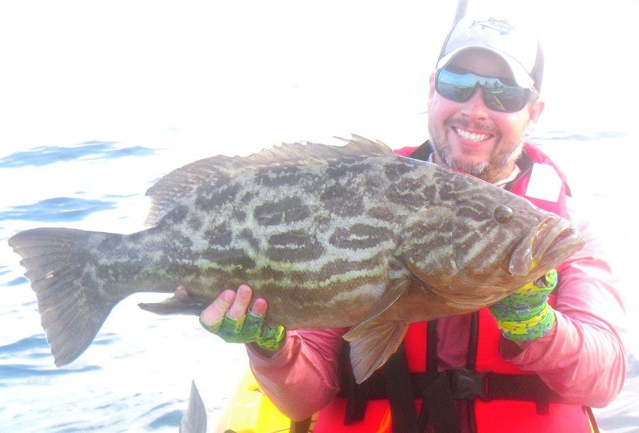 Grouper