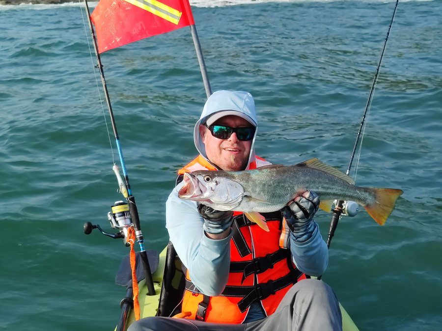 Corvina