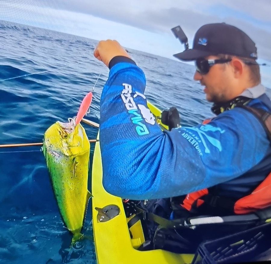 Mahi Mahi