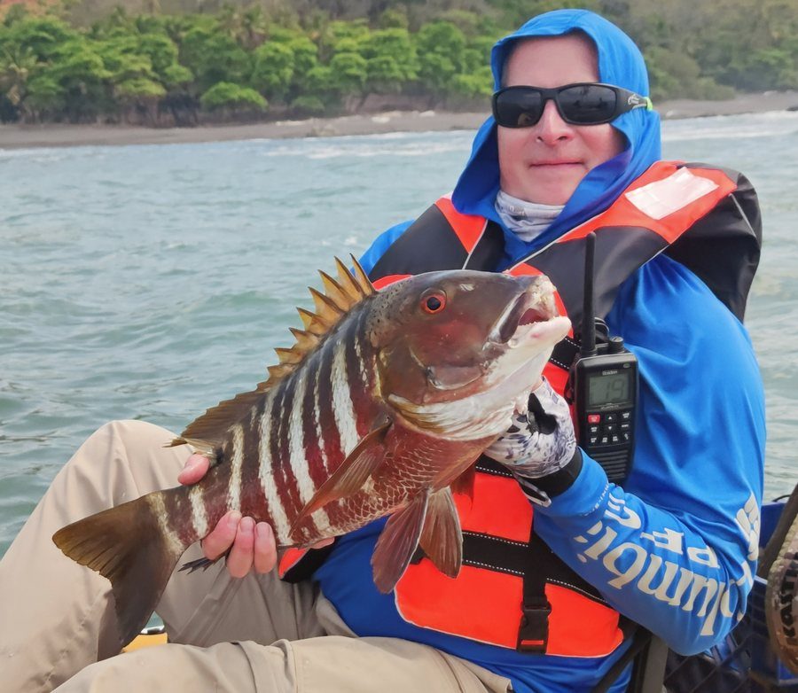 Rock Snapper