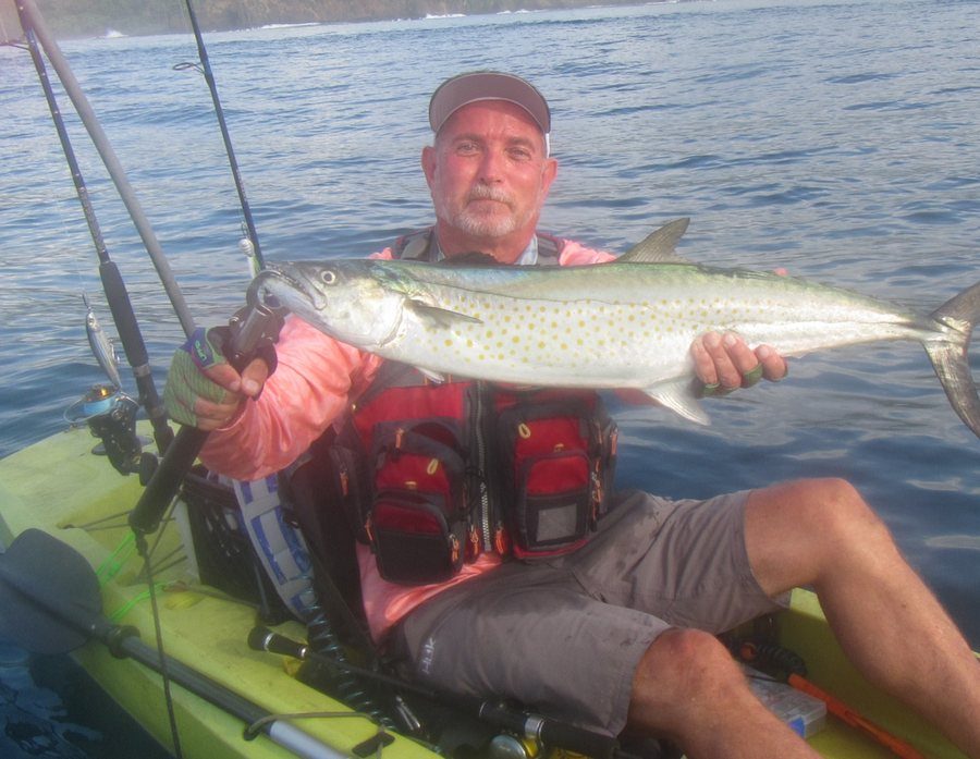 Sierra Mackerel