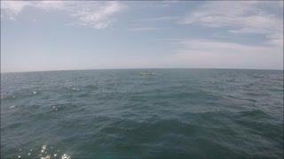 kayak