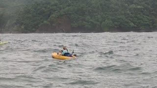 kayak