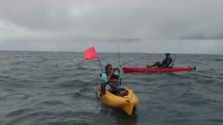 kayak