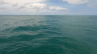 panga
